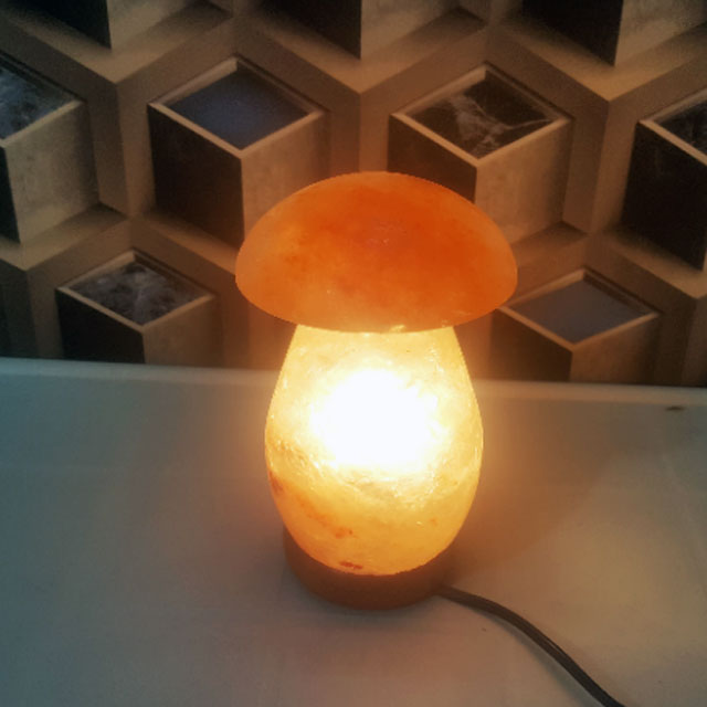 himalayan mushroom lamp with light